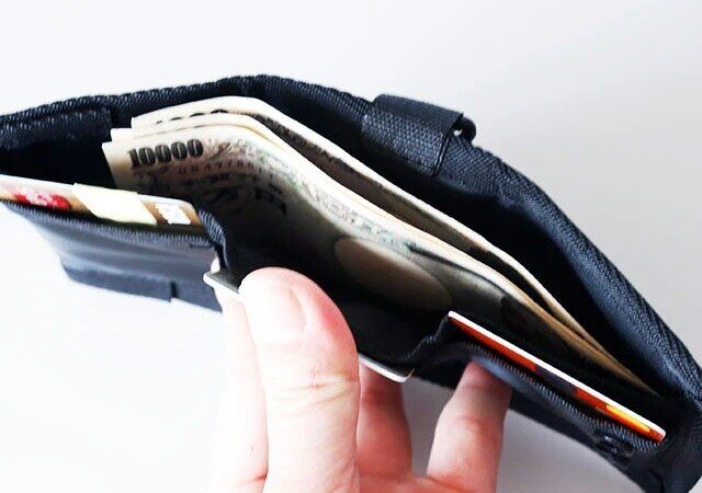 ダイソー お札入れ 収納スペース