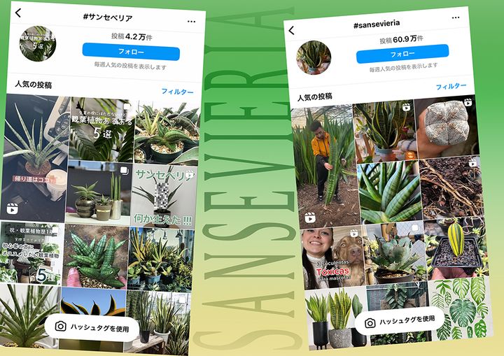 インスタグラム