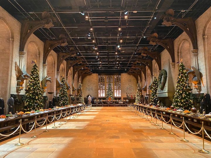 部屋の両端に4本ずつ、計8本のクリスマスツリー