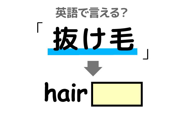 【抜け毛】は英語で何て言う？「心配」などの英語もご紹介
