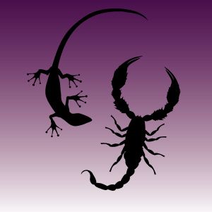 画像の代替テキスト