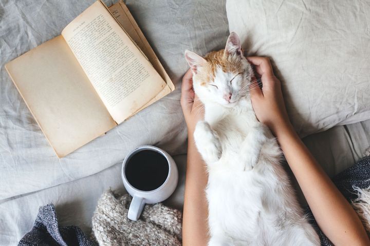 Photo_ 123RF/ Arena Ozerova