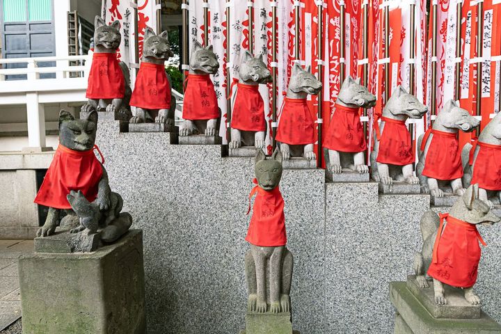 子ギツネを愛でる親ギツネの姿も