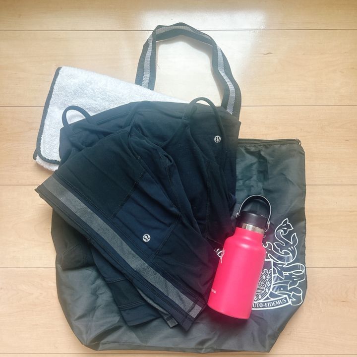 GLOW1月号付録 アクアスキュータムパッカブルバッグ