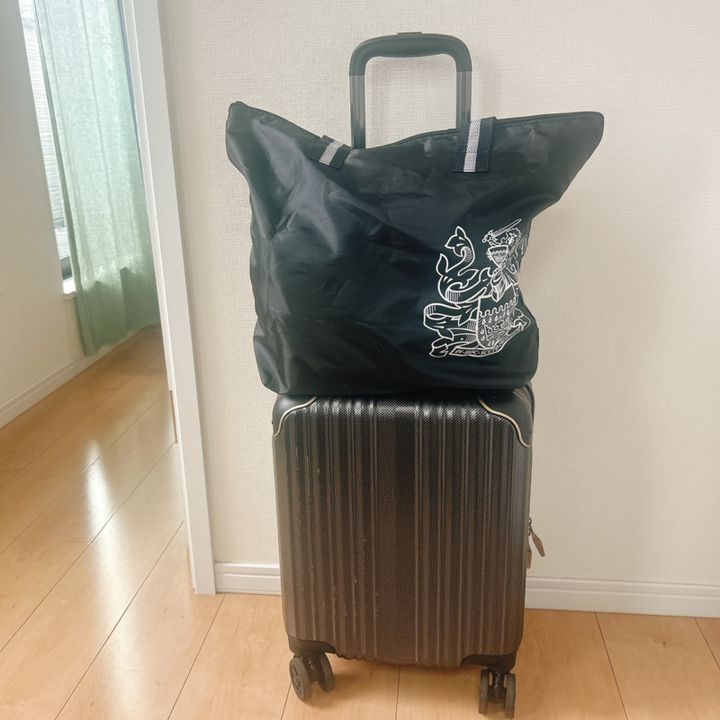 ＧＬＯＷ1月号付録 アクアスキュータムパッカブルバッグ