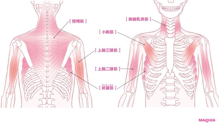  美人見せの最重要パーツは「首」と「肩」！神崎 恵さんのメソッドとは？_3