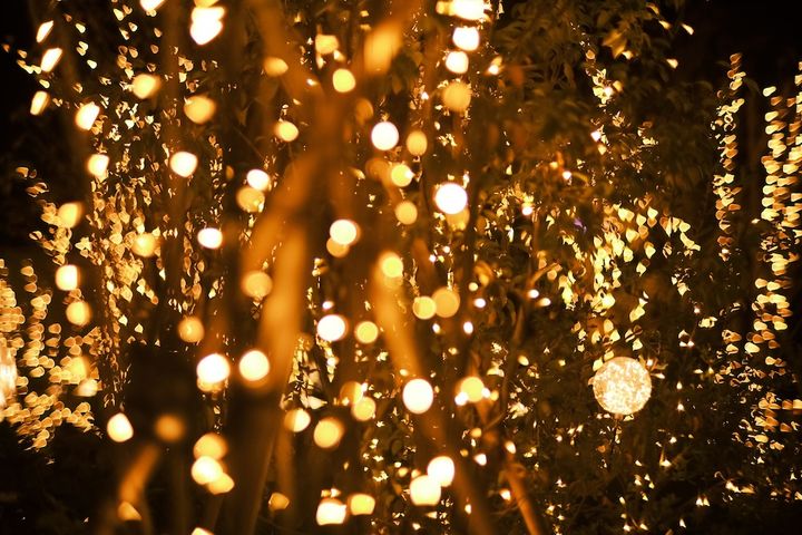 いばらきフラワーパーク ライトアップイベント