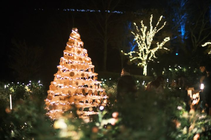 いばらきフラワーパーク クリスマスイルミネーション