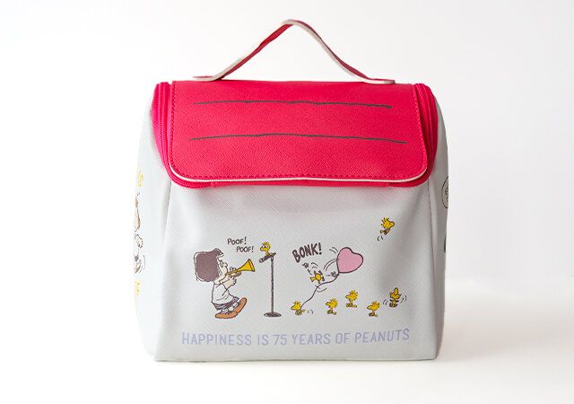宝島社ムック付録のスヌーピーのおうち形ポーチ3