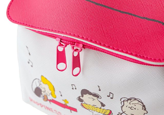 宝島社ムック付録のスヌーピーのおうち形ポーチ6