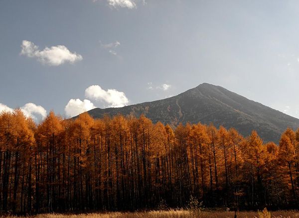 モンベルのスタッフが激推し！紅葉を楽しめるトレッキングコースが絶景すぎる！