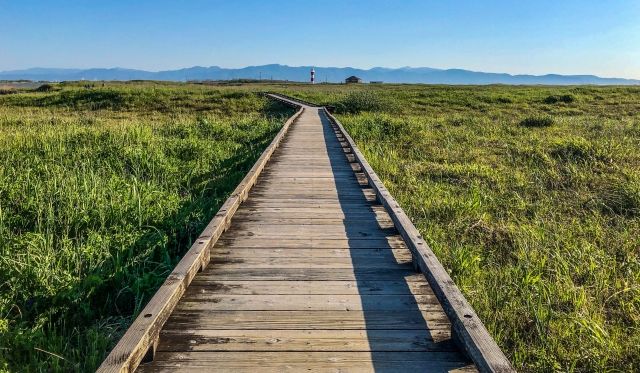 サイコパス度診断 GLOWウェブサイトの心理テスト