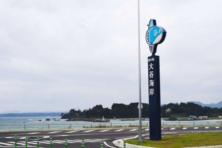 大谷海岸（写真ACより）