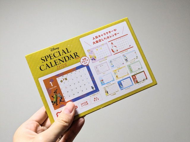 Disney SPECIAL CALENDAR BOOK