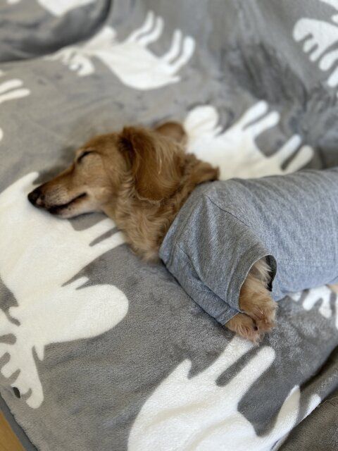 冬 便利アイテム