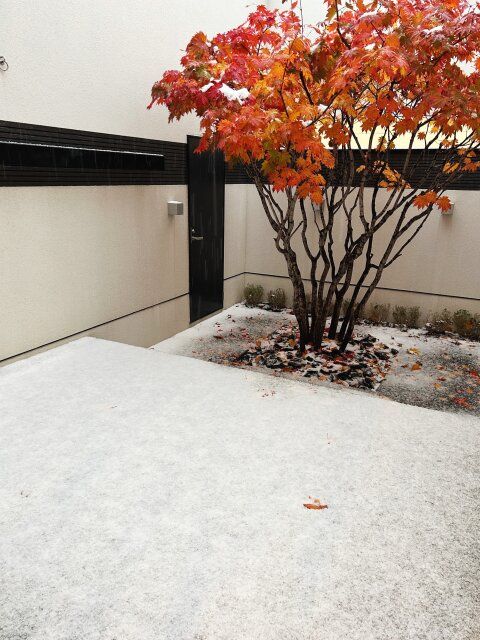 冬 便利アイテム