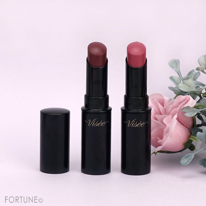 Visée ヴィセ ネンマクフェイク ルージュ