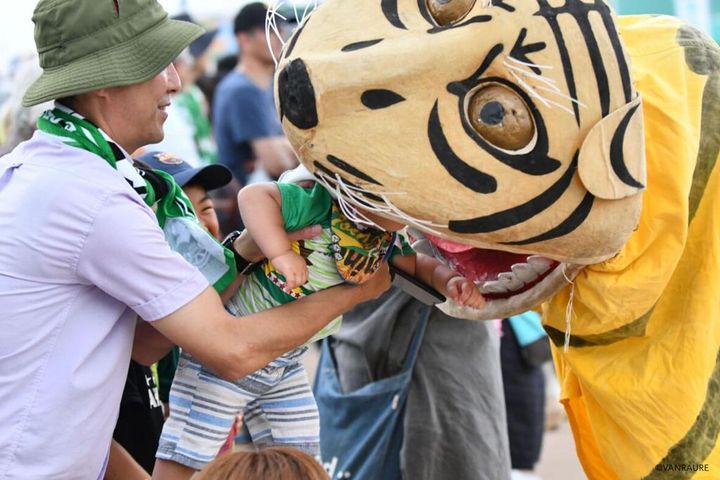 ヴァンラーレ八戸が2025新ユニフォームを発表！「イカと虎が横並び」の珍しいデザインが現れる