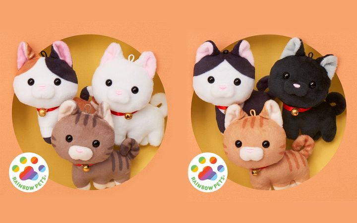 いらすとやの猫がとうとう実体化、つぶらな瞳で我々の前に