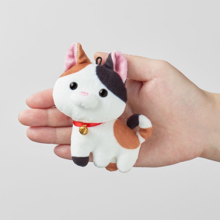 いらすとやの猫がとうとう実体化、つぶらな瞳で我々の前に