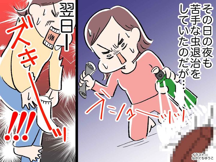 画像: ＜ヒヤリ＞部屋に入ってきた虫を退治するも、翌日「靴下を履こうとすると膝が痛い」いったい何が！？