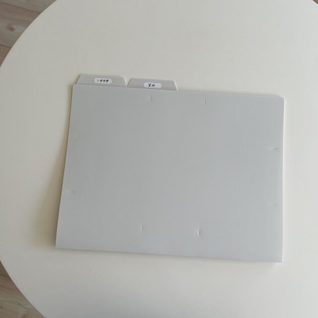 無印良品 発泡ポリプロピレン個別フォルダ