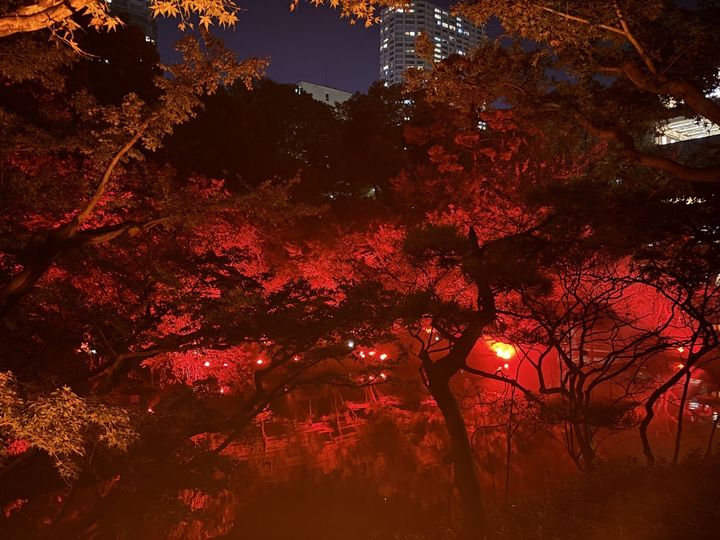池の水面に移る木々の姿も美しい