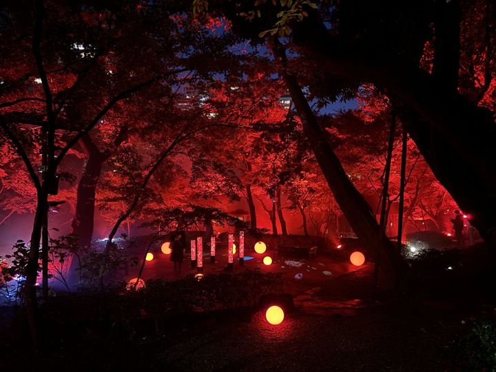 池の周りにはスモークが焚かれ、幻想的な雰囲気 