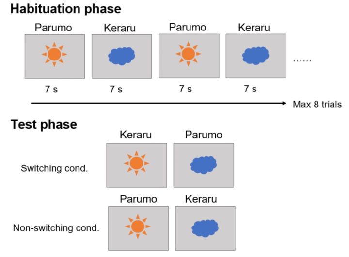 第一段階：2種類の画像に意味を持たない単語を割り当てネコに見せる、第二段階：正しい組み合わせだけでなく画像と単語を入れ替えた組み合わせを見せる