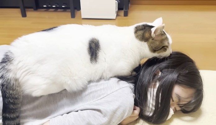 お姉ちゃんを毛づくろいする猫