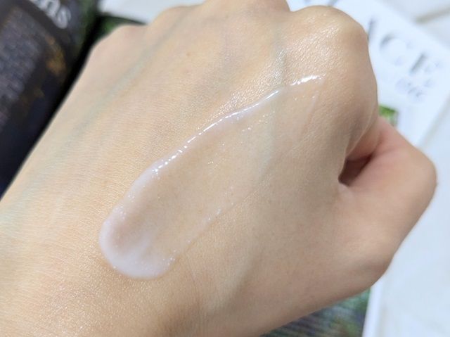 トロイアルケの写真