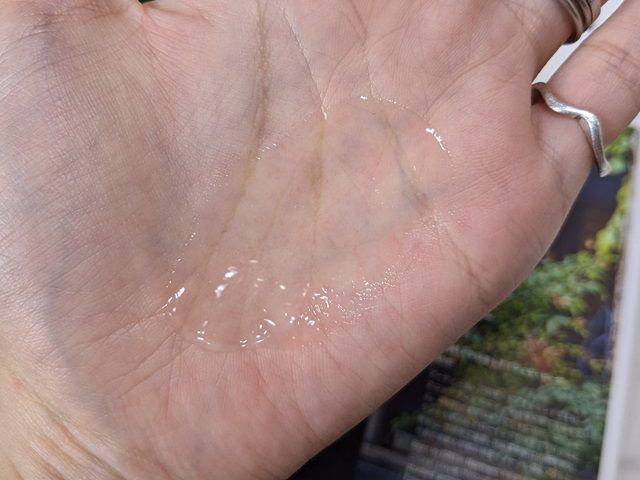 トロイアルケの写真