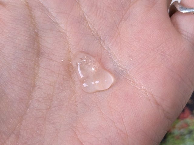 トロイアルケの写真