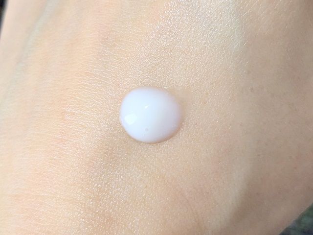 トロイアルケの写真