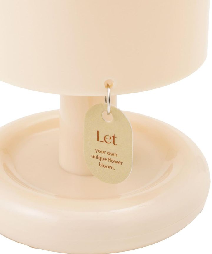 画像2: 出典：3COINS