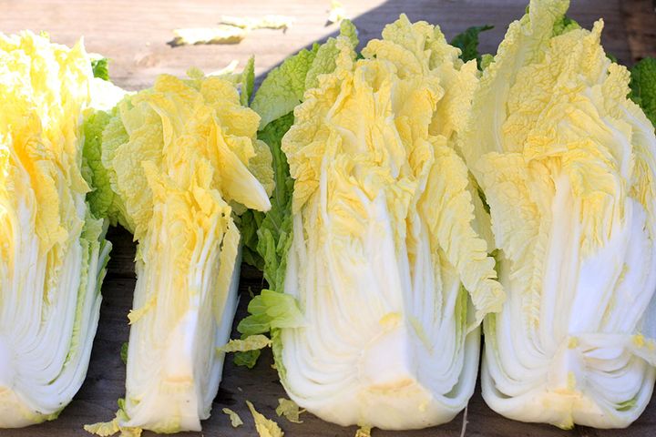 手作り白菜漬け