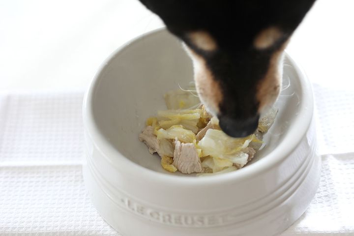 白菜のミルフィーユ