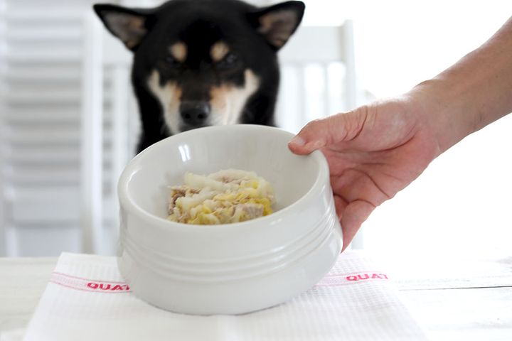 白菜のミルフィーユ