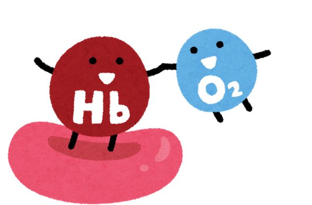 hemoglobin