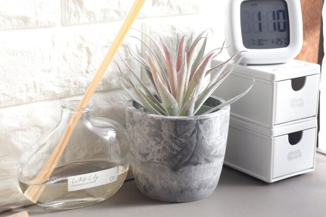 セリア ストーン風プランターB インテリア