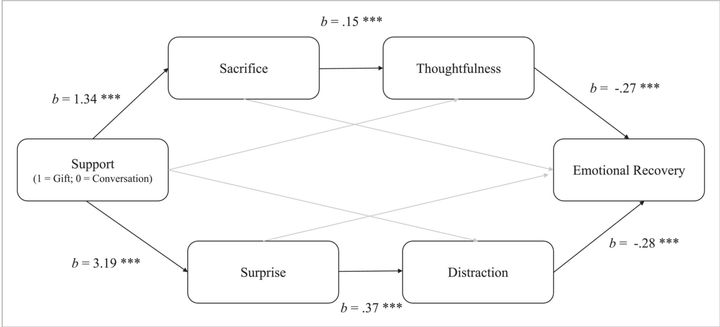 贈り物が感情の回復に与える過程には2つの経路があると判明