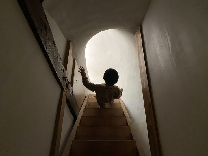 とっても上品で繊細！長野県松本市「開運堂」のほろほろソフトクッキー「白鳥の湖」【旅するデザイナーがおすすめするお土産たち！】