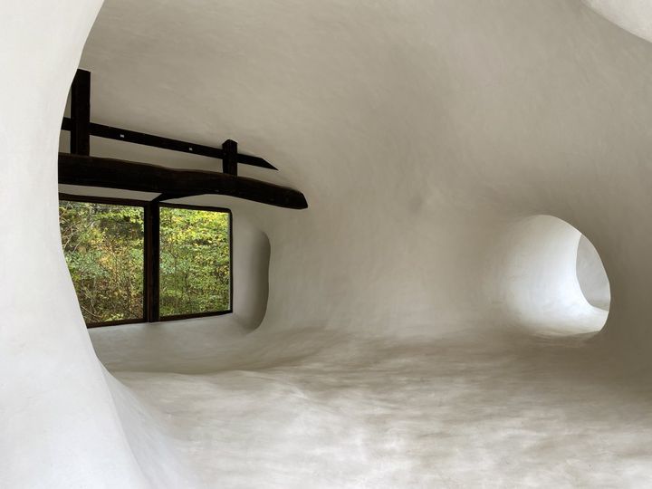 とっても上品で繊細！長野県松本市「開運堂」のほろほろソフトクッキー「白鳥の湖」【旅するデザイナーがおすすめするお土産たち！】