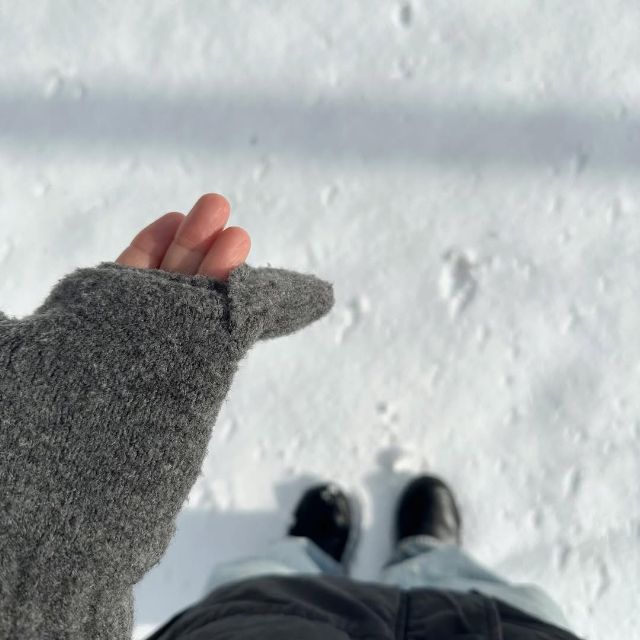 グレーのヒートテックライニングスフレヤーンミトンを付けている