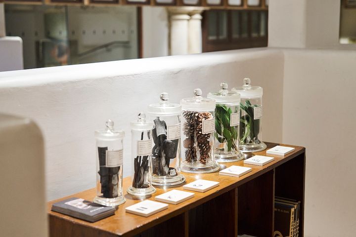 染めの原料が展示されている