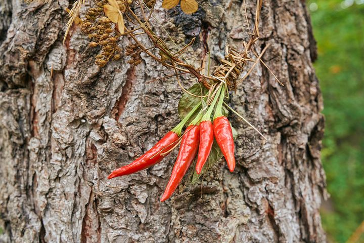 「知らないと損」冬キャンプの寒さ対策は何が正解？寒さトラブルの対処法を紹介！