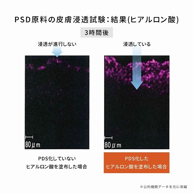 PSD原料の皮膚浸透試験