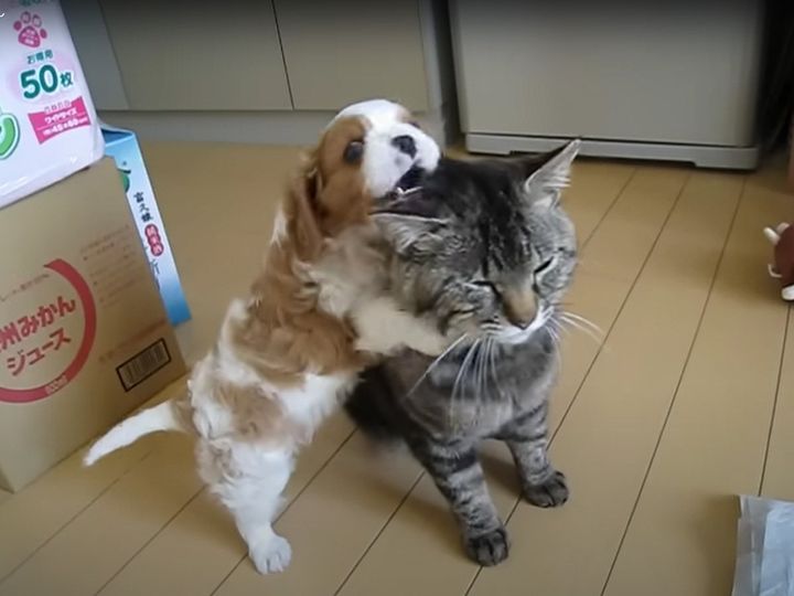 じっと耐えてる…！