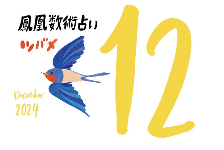 【今月の運勢】人気占い師・暮れの酉さんが観る2024年12月の運勢【鳳凰数術占い】