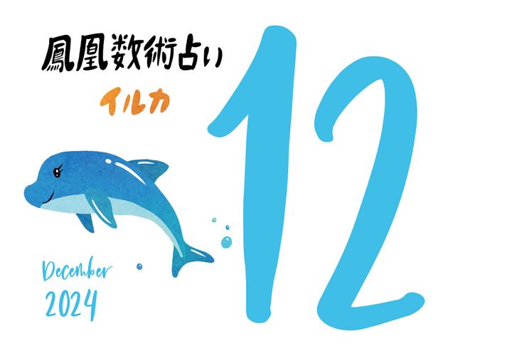 【今月の運勢】人気占い師・暮れの酉さんが観る2024年12月の運勢【鳳凰数術占い】